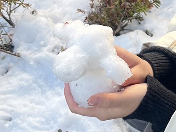 雪で作ったモデル犬♪